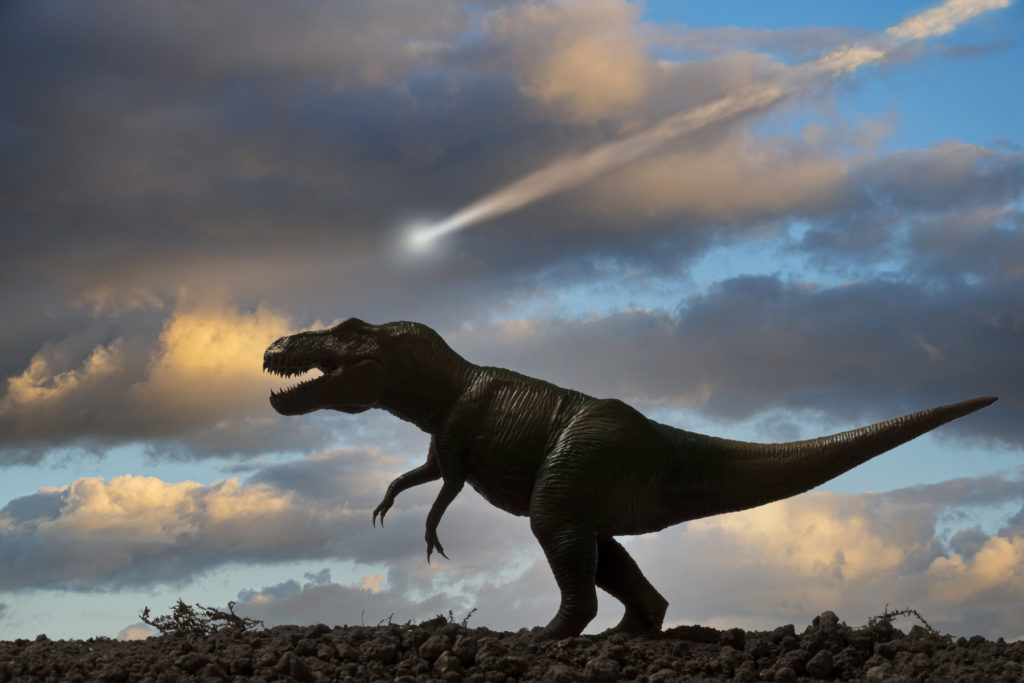 Picture of large meteor streaking through the sky foregrounded by a t-rex running across the ground.